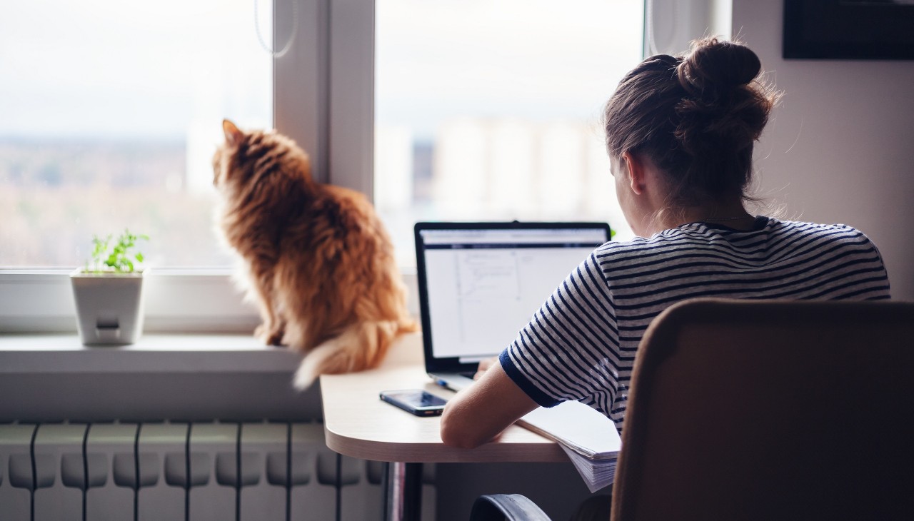 Kuvituskuva: Tyttö istuu työpisteellään kotona kissan kanssa